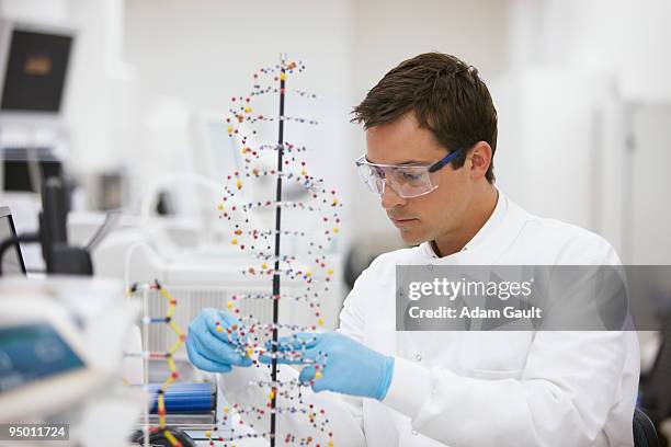 Dna Modeling Lab 4,787 Dna Model Stock Photos, High-Res Pictures, and Images - Getty Images