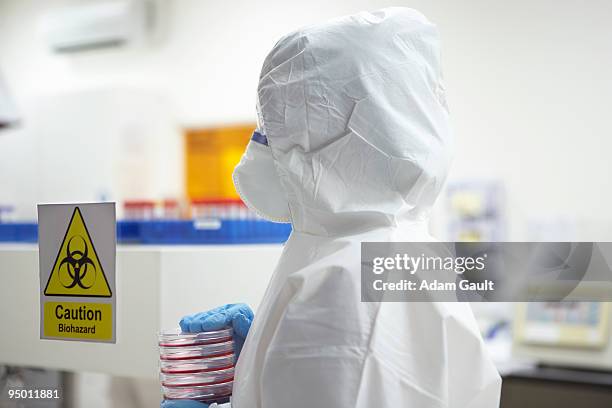 scientist in protective clothing carrying petri dishes in laboratory - biologi stock pictures, royalty-free photos & images