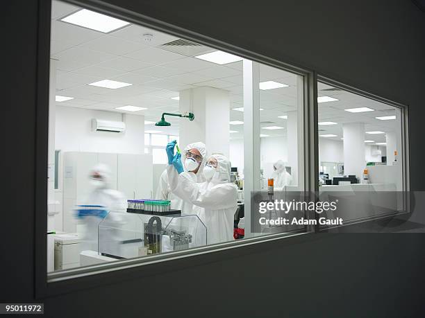 scientists working in laboratory - biochemie stockfoto's en -beelden