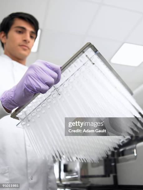 955 Specimen (Biology) Stock Photos, High-Res Pictures, and Images ...