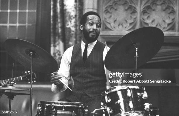 465 Steve Mccall Stock Photos, HighRes Pictures, and Images Getty Images