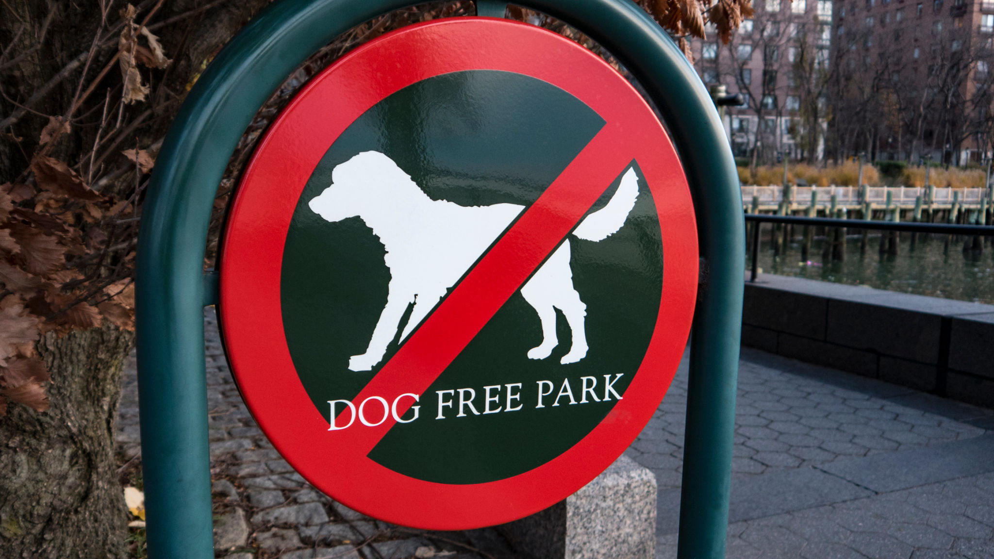 pet free zone