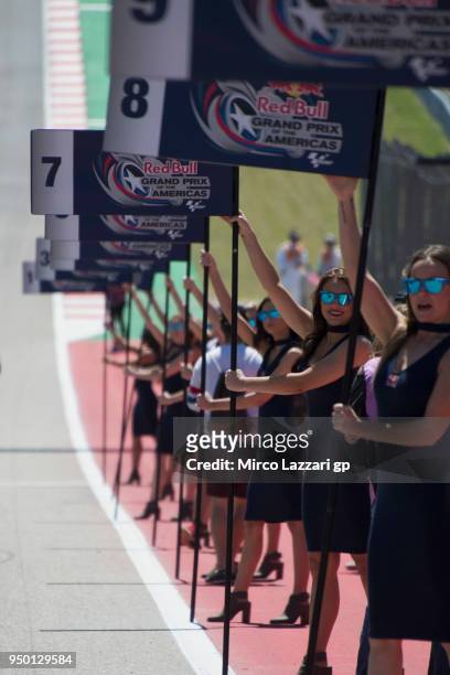 The grid girls pose on grid before the MotoGP race during the MotoGp Red Bull U.S. Grand Prix of The Americas - Race at Circuit of The Americas on...