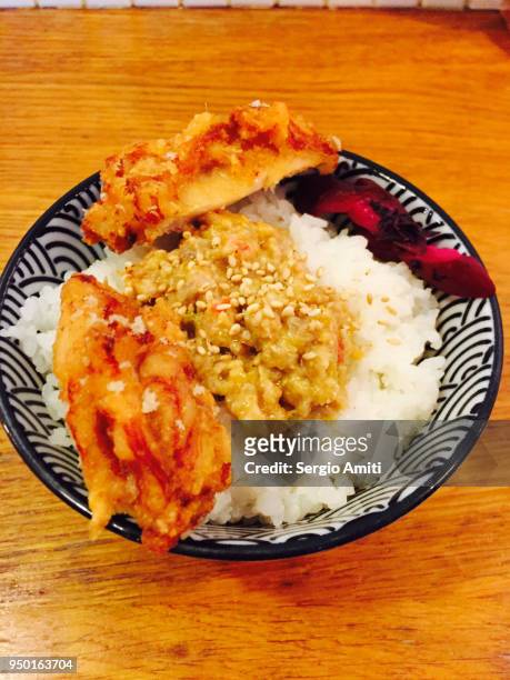 japanese rice bowl with chicken and scallion - parigi stock pictures, royalty-free photos & images