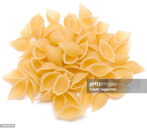 pasta - muschel freisteller stock-fotos und bilder