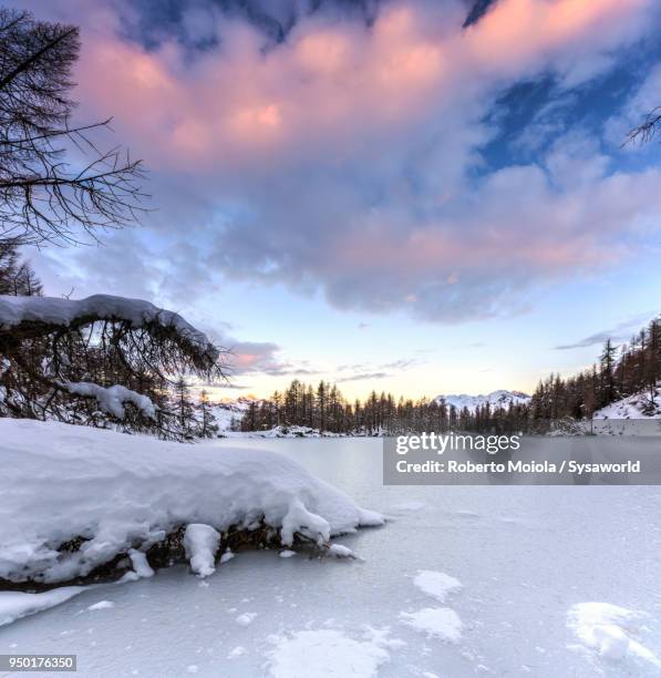 lago azzurro at dawn, lombardy, italy - paesaggi 個照片及圖片檔