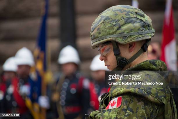 Remembrance Day: Honor guard dressed in current Canadian military uniform at the Old City Hall.