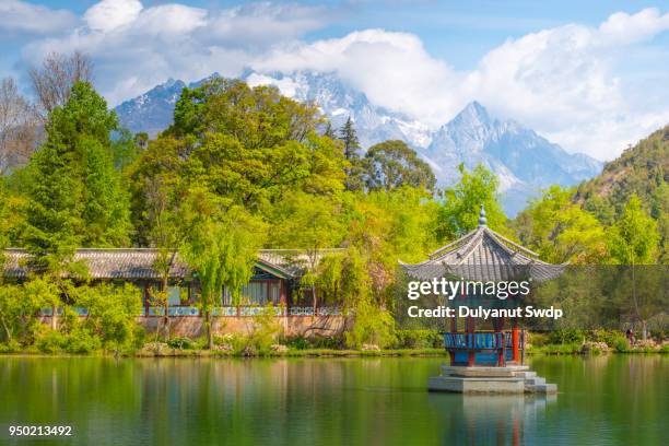 scenic view of the jade dragon snow mountain, china - lijiang bildbanksfoton och bilder