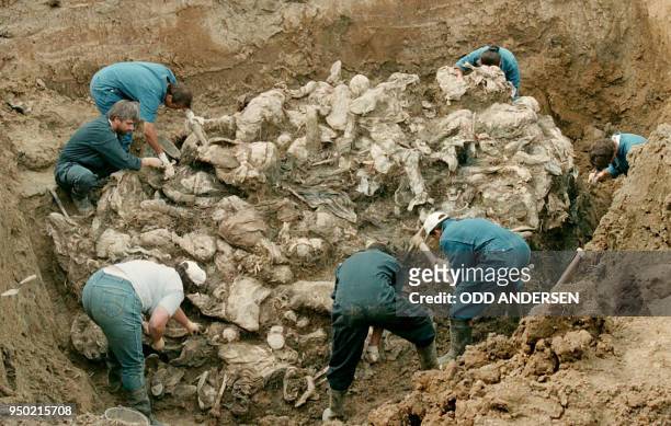 Forensic experts from the International war crimes tribunal in the Hague works on a pile of partly decomposed bodies, 24 July 1996 found in a mass...