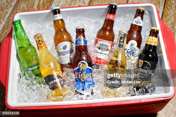 various beer bottles - bucket stock pictures, royalty-free photos & images