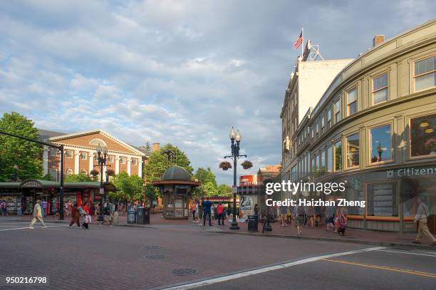 cambridge massachusetts - cambridge massachusetts fotografías e imágenes de stock