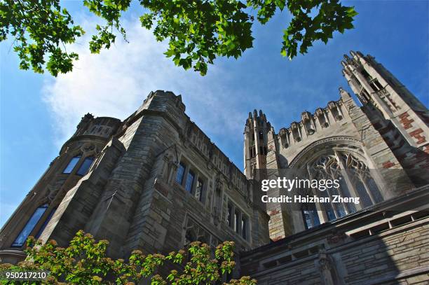 universidad de yale - new haven fotografías e imágenes de stock