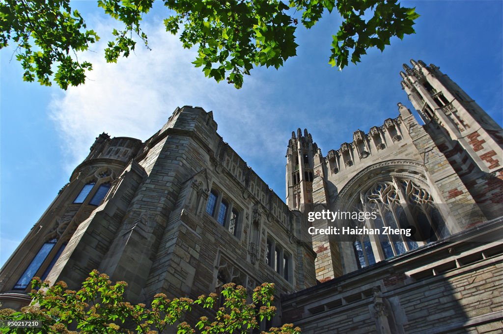 Yale University