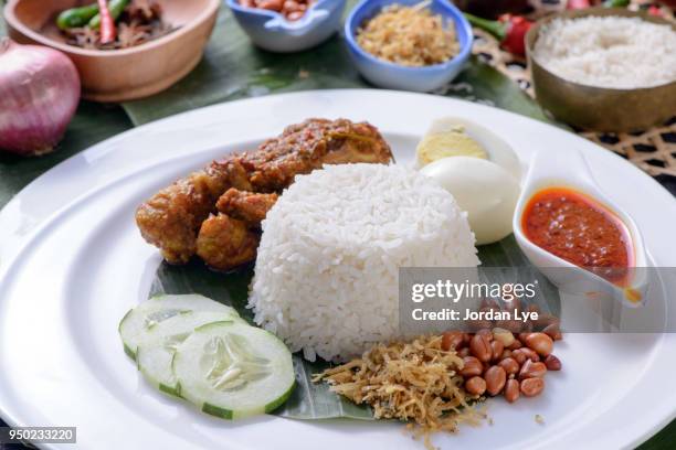 nasi lemak - nasi lemak stock-fotos und bilder