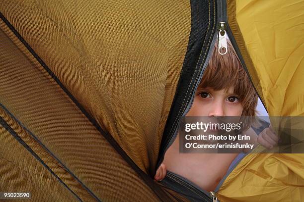 little boy peeks out from inside a tent. - dungarvan stock pictures, royalty-free photos & images