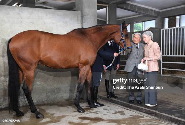 Emperor Akihito and Empress Michiko feed horse 'Kusashin' which is sent to Ise Shrine at the Imperial Palace on April 23, 2018 in Tokyo, Japan.
