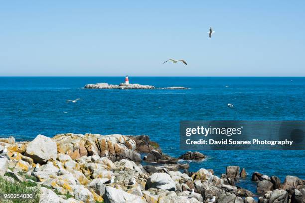 dalkey island in dublin, ireland - david soanes stock pictures, royalty-free photos & images