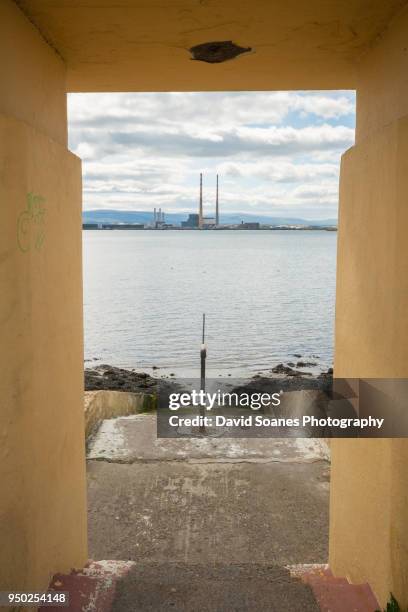 the poolbeg chimneys in dublin city, ireland - david soanes stock pictures, royalty-free photos & images