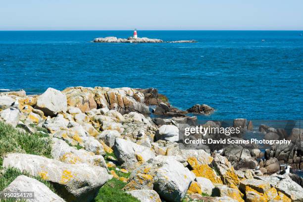 dalkey island in dublin, ireland - david soanes stock pictures, royalty-free photos & images