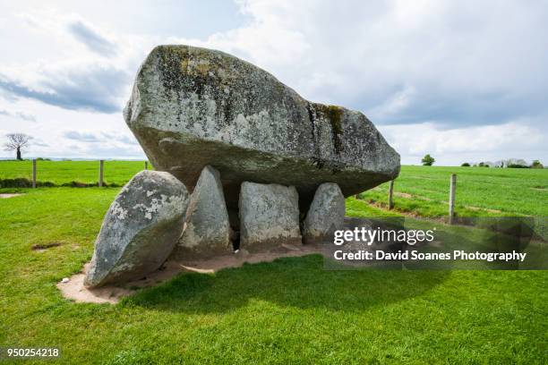 the brownshill dolmen in county carlow, ireland. - david soanes stock pictures, royalty-free photos & images