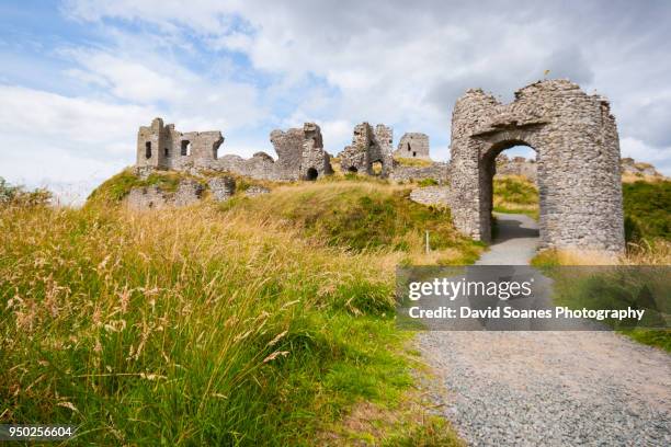 the rock of dunamase in county laois - david soanes stock pictures, royalty-free photos & images