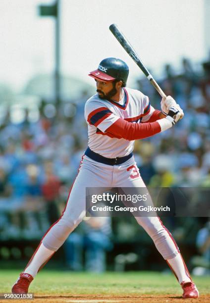 Harold Baines of the Chicago White Sox bats against the Pittsburgh Pirates during a Major League Baseball spring training game at McKechnie Field in...