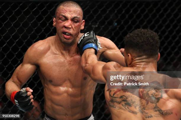 Kevin Lee punches Edson Barboza in their lightweight fight during the UFC Fight Night event at the Boardwalk Hall on April 21, 2018 in Atlantic City,...