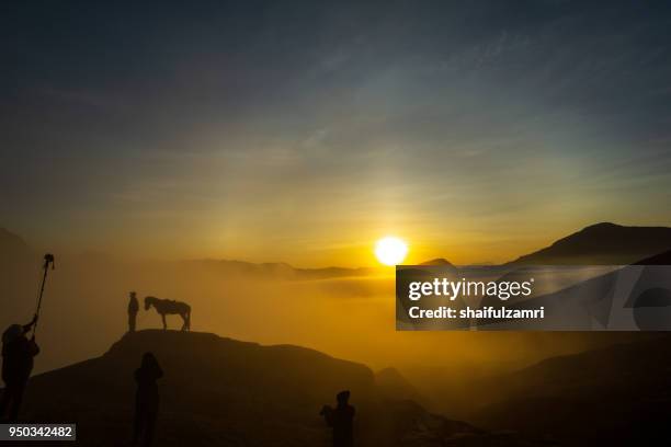 silhouette of unidentified local people or bromo horseman pose for camera at the mountainside of mount bromo, semeru, tengger national park, indonesia. - bromo horse stock pictures, royalty-free photos & images