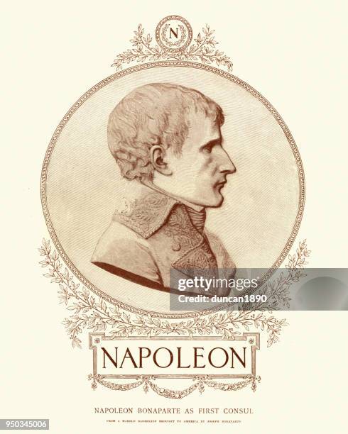 stockillustraties, clipart, cartoons en iconen met napoleon bonaparte - keizer