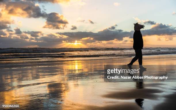 man with horse mask on walking on beach with sunset in background. - nazar abbas foto e immagini stock