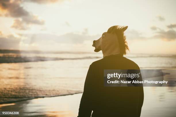 looking away at beach. - nazar abbas foto e immagini stock