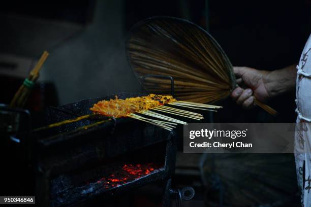 satay - frango satay - fotografias e filmes do acervo