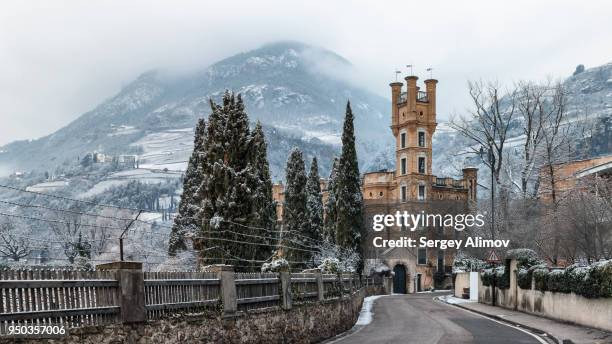 snowy winter in bolzano - palissades stockfoto's en -beelden