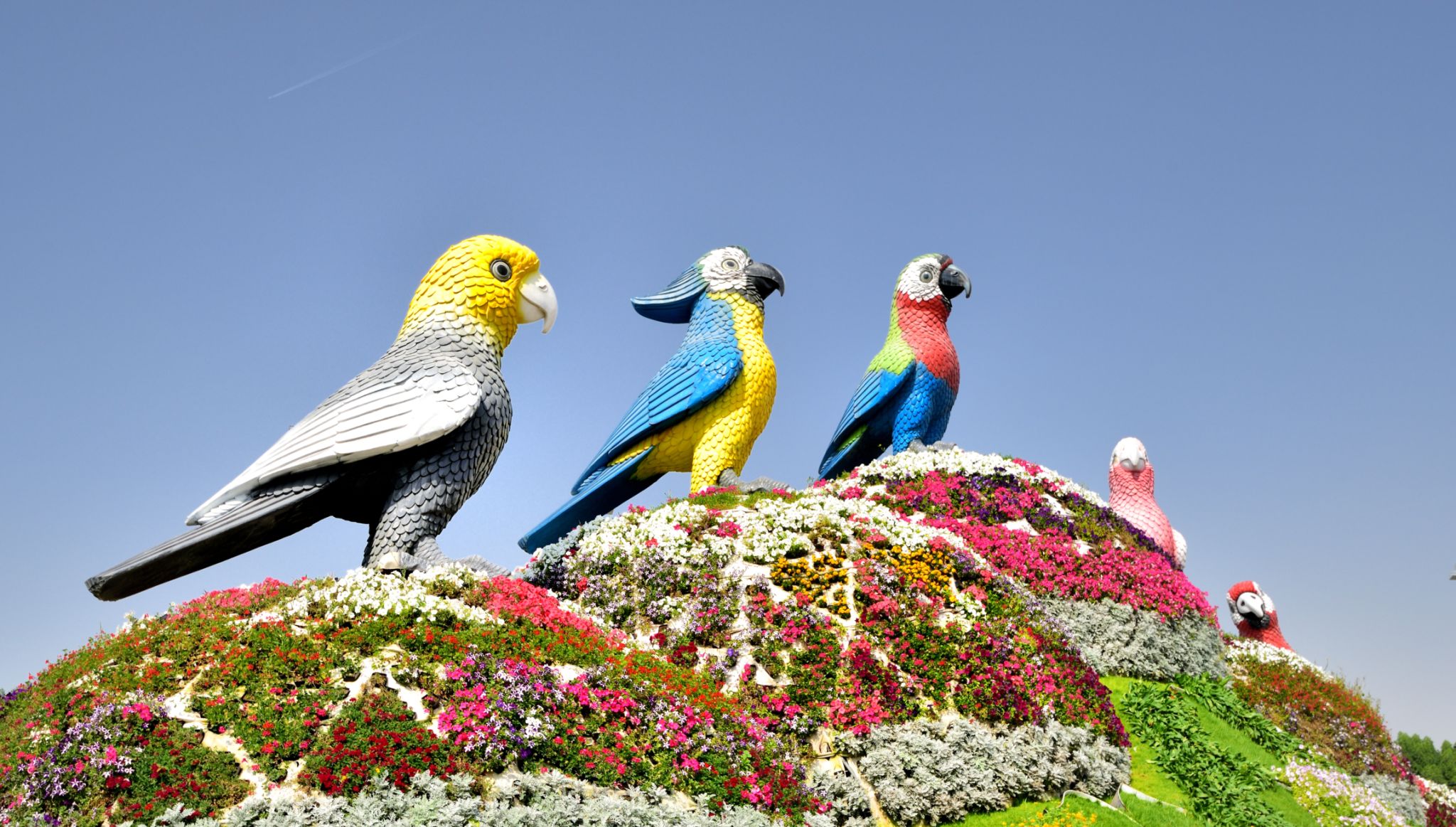 miracle garden visitors