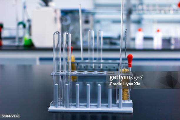 test tube shelf in a chemistry lab - reageerbuisrek stockfoto's en -beelden