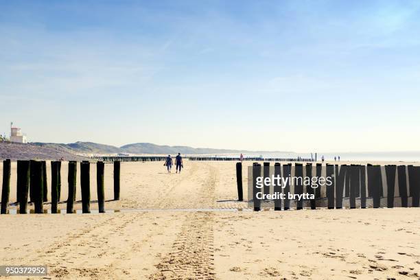 walking on the sandy beach at low tide in zoutelande,zeeland,netherlands - zeeland stock pictures, royalty-free photos & images