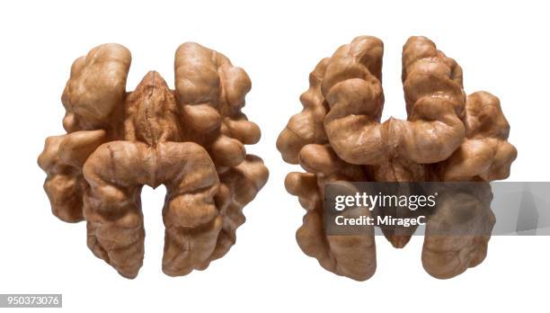 walnuts nut - walnuss stock-fotos und bilder