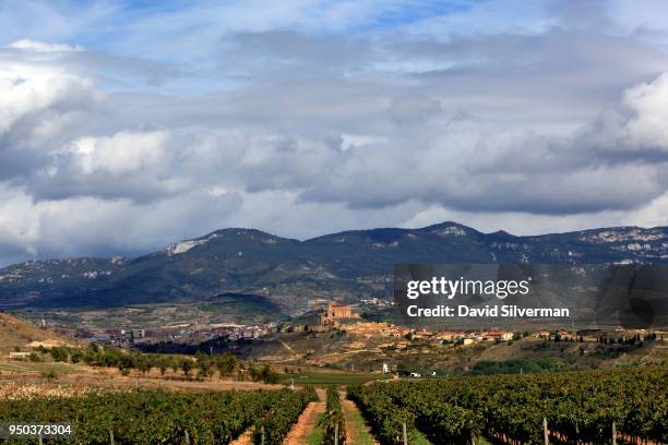 Vineyards dominate the landscape around Vivanco winery on October 14, 2016 in Briones in the autonomous province of La Rioja in northern Spain. The...