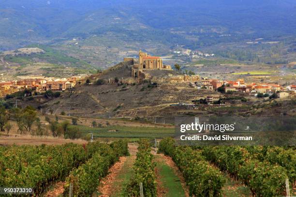 Vineyards dominate the landscape around Vivanco winery on October 14, 2016 in Briones in the autonomous province of La Rioja in northern Spain. The...