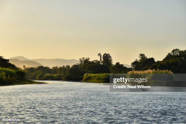 ethiopia - lake tana stock pictures, royalty-free photos & images