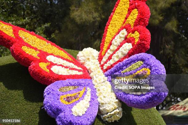 Colouful butterfly seen made with flowers. The Botanical Garden is hosting a flower festival which is decorated with the theme 'Mexico and its...