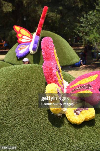 Colouful butterfly seen made with flowers. The Botanical Garden is hosting a flower festival which is decorated with the theme 'Mexico and its...