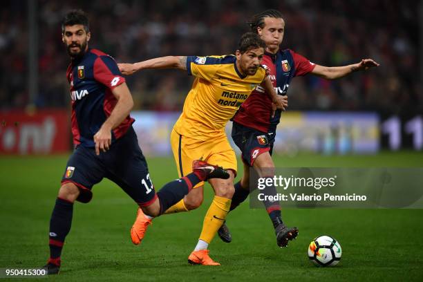 Alessio Cerci of Hellas Verona FC in action against Luca Rossettini and Diego Laxalt of Genoa CFC during the Serie A match between Genoa CFC and...