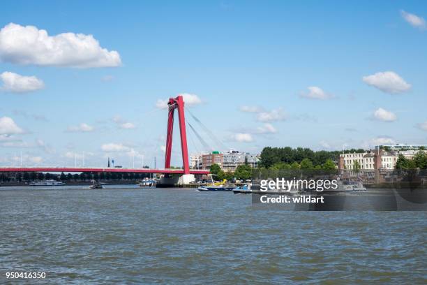 puente de erasmus en la ciudad de rotterdam - rio nieuwe maas fotografías e imágenes de stock