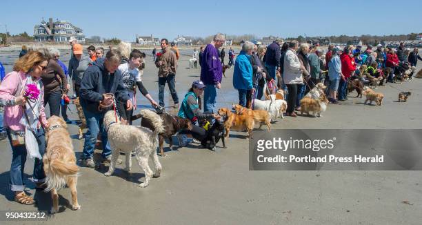 Friends of Barbara Bush held a memorial for her at Gooches Beach in Kennebunk. Participants in the memorial brought along their dogs for a walk on...