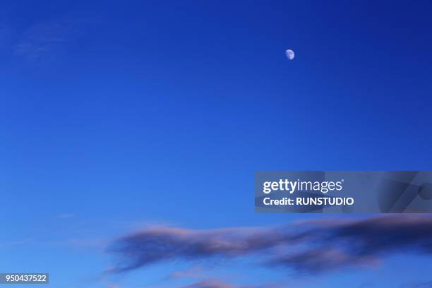 3,411 Full Moon Spring Stock Photos, High-Res Pictures, and Images ...