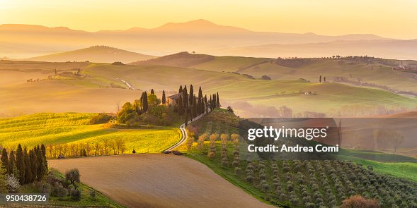 Italy, Tuscany, San Quirico D'Orcia, Podere Belvedere, Green hills, olive gardens and small vineyard under rays of morning sun Italy, Tuscany, San Quirico D'Orcia, Podere Belvedere, Green hills, olive gardens and small vineyard under rays of morning sun