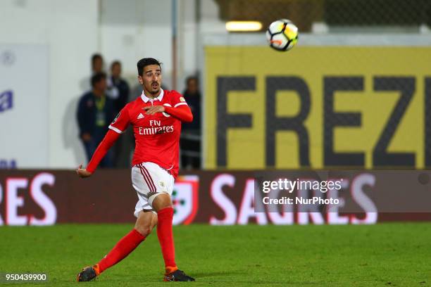 Benfcas Defender Andre Almeida from Portugal during the Premier League 2017/18 match between Estoril Praia v SL Benfica, at Estadio Antonio Coimbra...