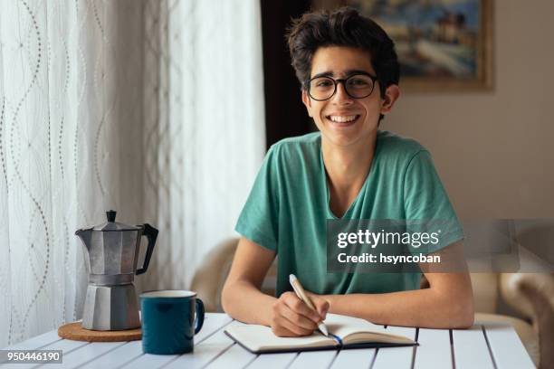 tiener studeren aan een bureau - turkish boy stockfoto's en -beelden