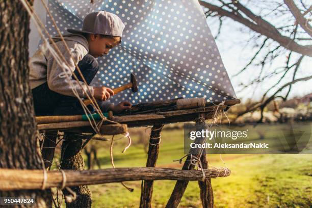 ein baumhaus bauen - baumhaus stock-fotos und bilder